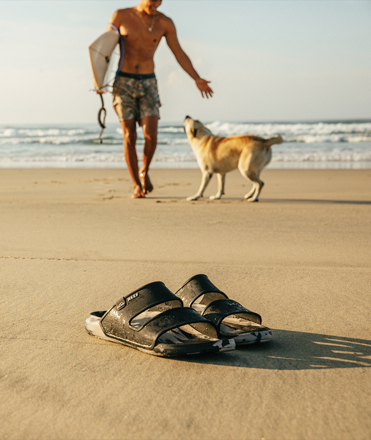 http://Surfer%20on%20beach%20with%20dog%20and%20sandals