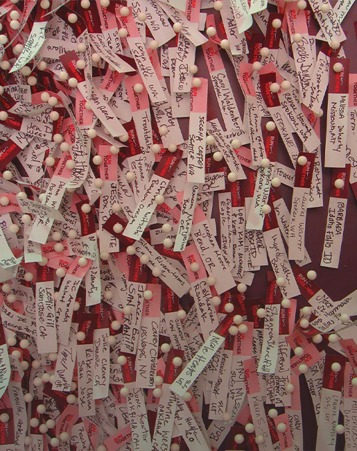 Pins in wall